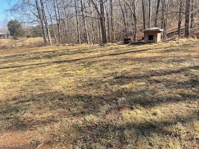 view of yard featuring a storage shed