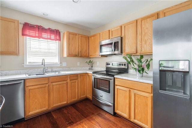6919 Channel Forest Rd, Belews Creek, NC 27009 - kitchen with appliances with stainless steel finishes, light countertops, and dark wood-style flooring