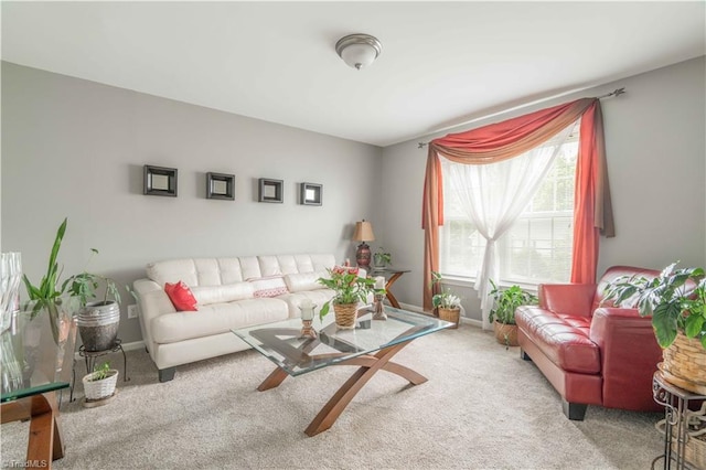 6919 Channel Forest Rd, Belews Creek, NC 27009 - carpeted living area with baseboards