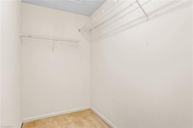 spacious closet with light carpet