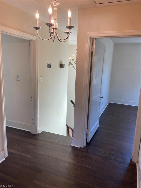 hallway featuring dark wood-type flooring