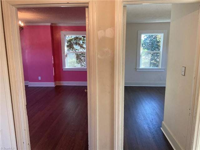 corridor with dark hardwood / wood-style floors and crown molding