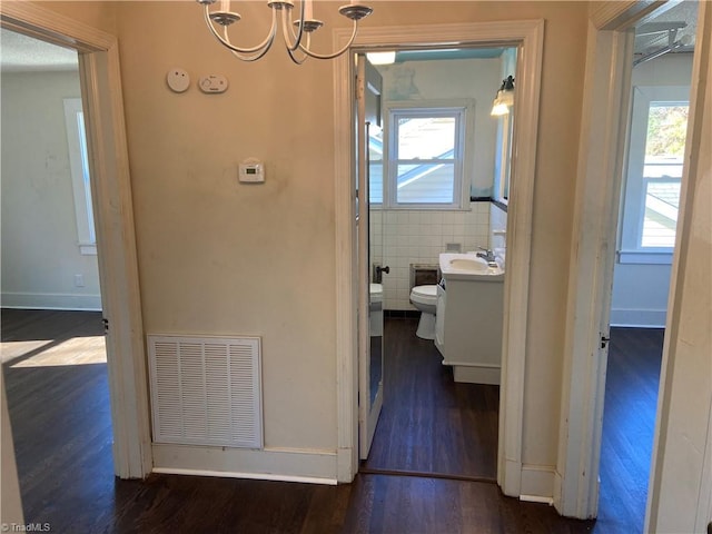 hall with dark hardwood / wood-style floors, sink, tile walls, and a wealth of natural light