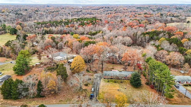 drone / aerial view