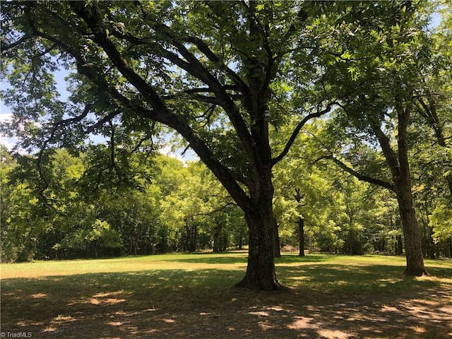 view of nature