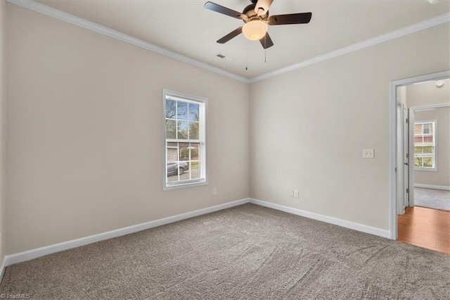 carpeted empty room featuring ceiling fan, visible vents, baseboards, and ornamental molding