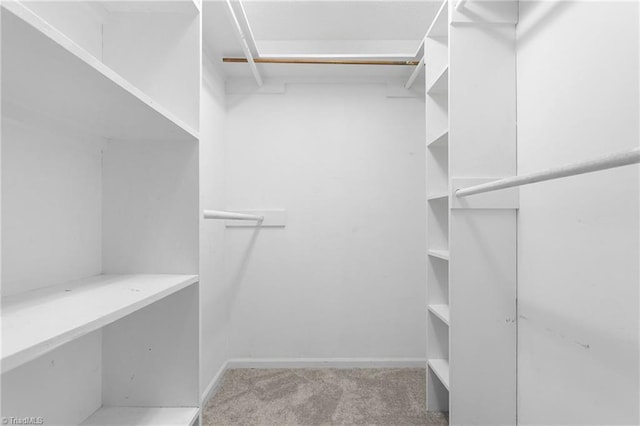 walk in closet featuring light colored carpet