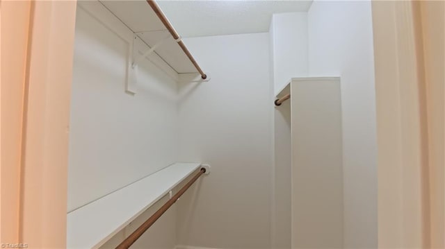 3128 Burke Mill Ct, Winston-Salem, NC 27103 - view of walk in closet