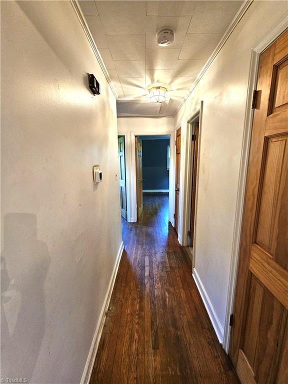 corridor featuring dark wood-type flooring and ornamental molding