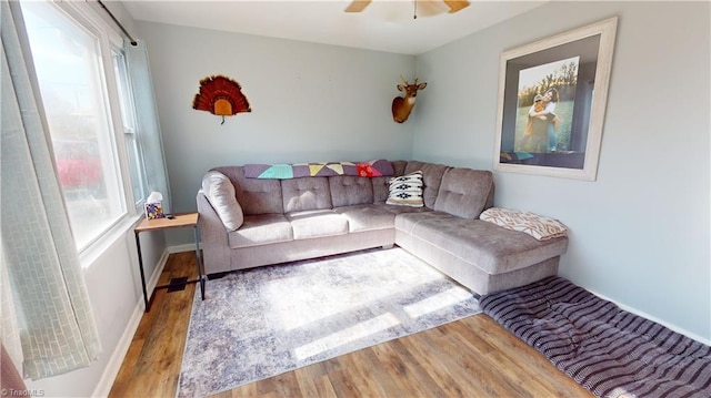 living room with hardwood / wood-style flooring and ceiling fan