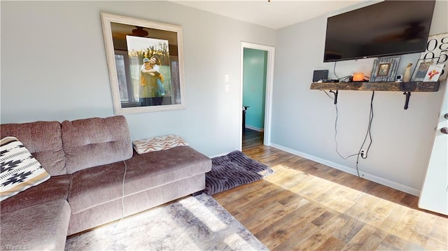 living room featuring wood-type flooring