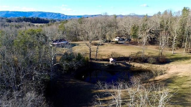 drone / aerial view with a mountain view