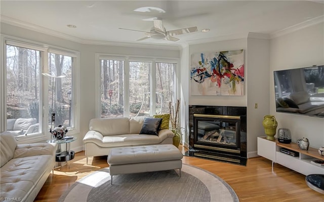 living area featuring a glass covered fireplace, crown molding, a ceiling fan, and wood finished floors