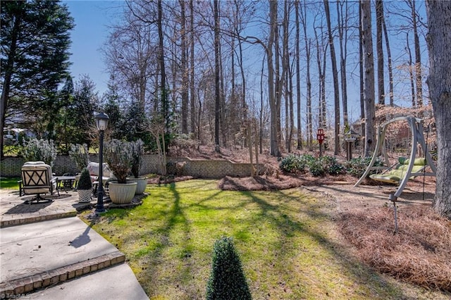 view of yard with a patio area