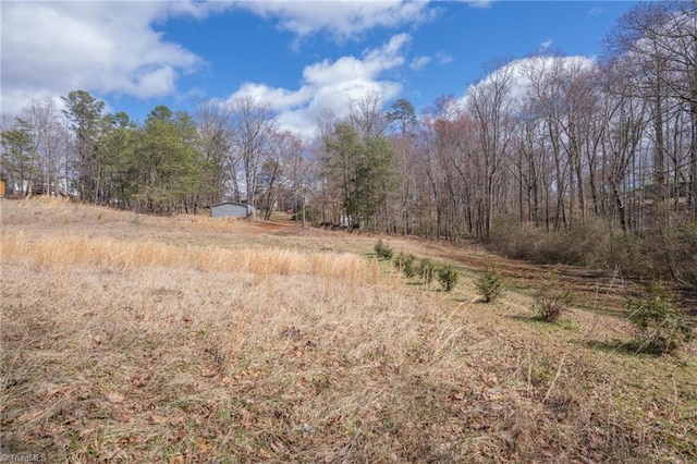 view of local wilderness