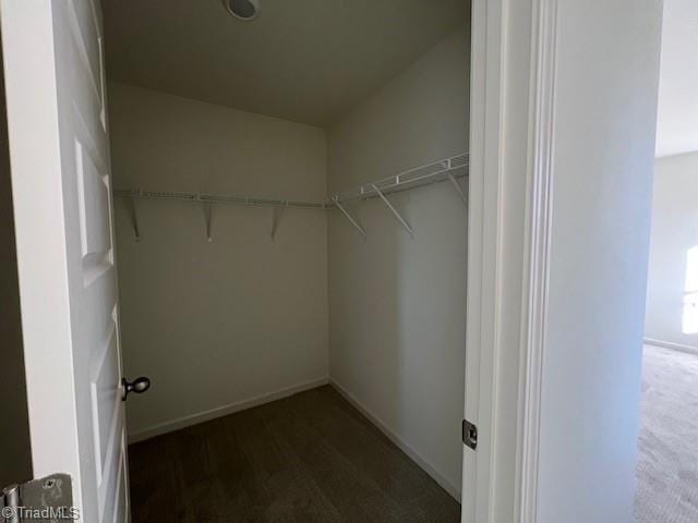 spacious closet featuring dark carpet