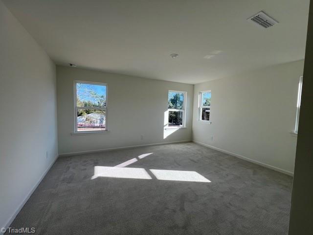 spare room featuring carpet and a wealth of natural light