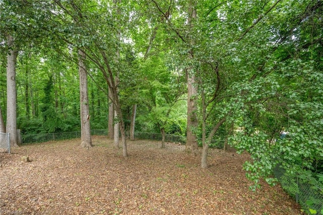 1315 Waybridge Ln, Winston-Salem, NC 27103 - view of undeveloped land