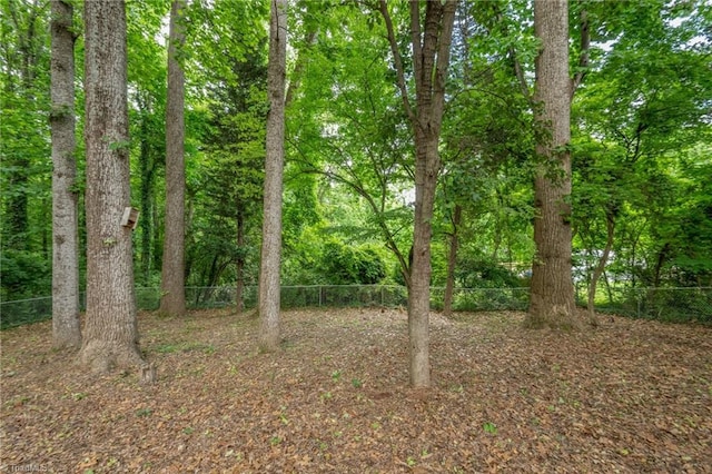 1315 Waybridge Ln, Winston-Salem, NC 27103 - view of undeveloped land