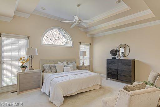 bedroom featuring ornamental molding, a raised ceiling, and ceiling fan