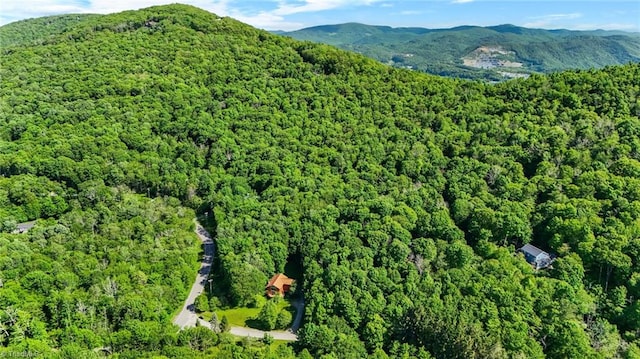 233 Woodland Springs Trl, Boone, NC 28607