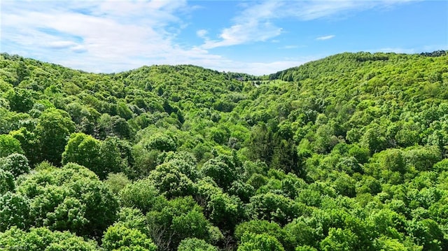 233 Woodland Springs Trl, Boone, NC 28607