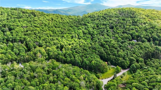 233 Woodland Springs Trl, Boone, NC 28607