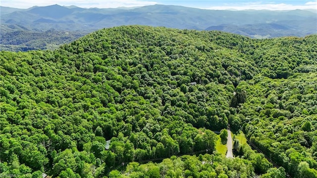 233 Woodland Springs Trl, Boone, NC 28607