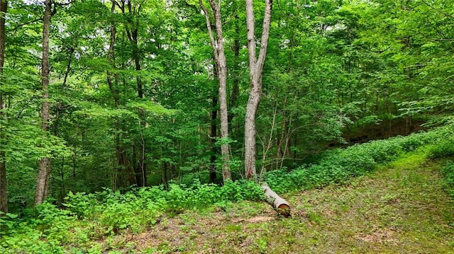 233 Woodland Springs Trl, Boone, NC 28607