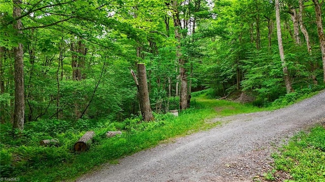 233 Woodland Springs Trl, Boone, NC 28607