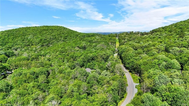 233 Woodland Springs Trl, Boone, NC 28607