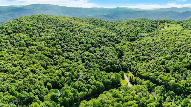 233 Woodland Springs Trl, Boone, NC 28607
