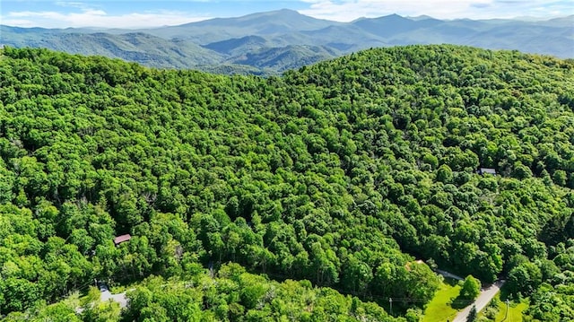 233 Woodland Springs Trl, Boone, NC 28607