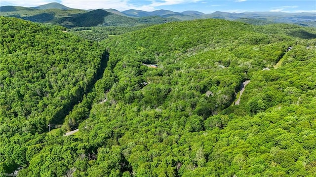 233 Woodland Springs Trl, Boone, NC 28607