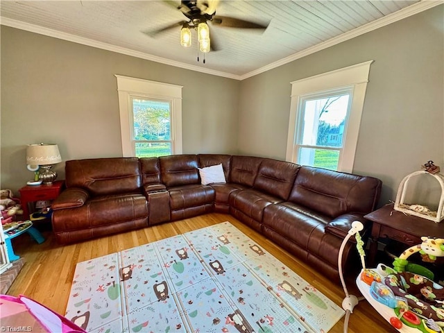 327 S Carolina Ave, Boonville, NC 27011 - living area with light wood-type flooring, plenty of natural light, a ceiling fan, and crown molding