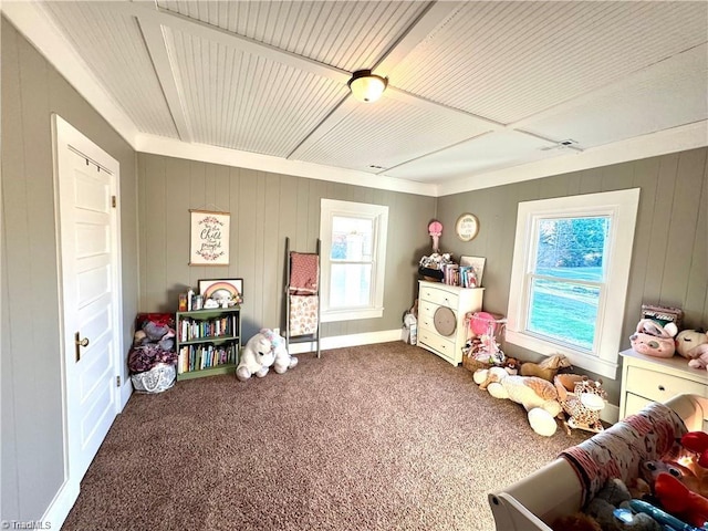 327 S Carolina Ave, Boonville, NC 27011 - game room with carpet flooring and wooden walls