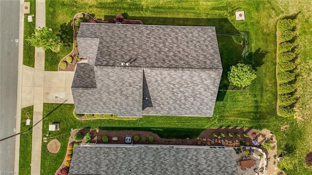 drone / aerial view