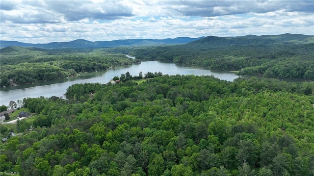 140 Blue Heron Ln, Wilkesboro, NC 28697 - aerial view of a forest and a water and mountain view