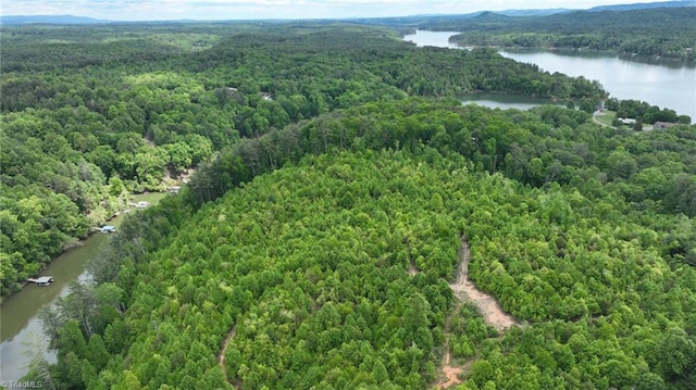 140 Blue Heron Ln, Wilkesboro, NC 28697 - bird's eye view of a forest and a large body of water