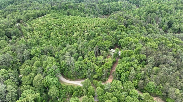 140 Blue Heron Ln, Wilkesboro, NC 28697 - view of property location featuring a forest