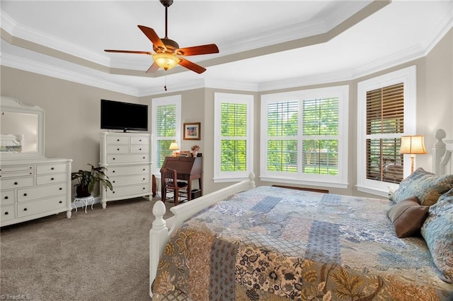 6122 Olde Fields Way, Pfafftown, NC 27040 - bedroom featuring a tray ceiling, carpet flooring, crown molding, and a ceiling fan