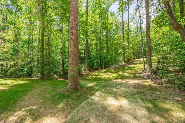 view of green lawn with a forest view