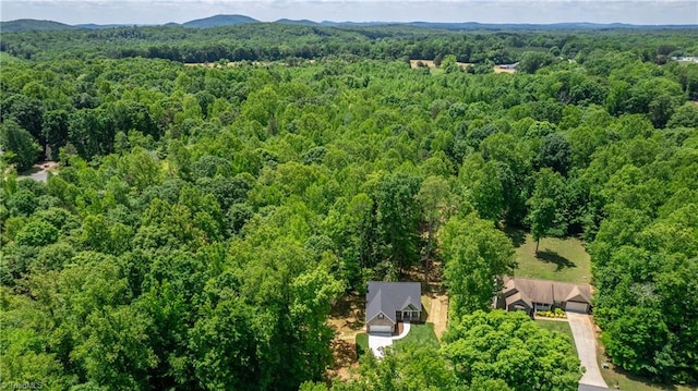 aerial view of a forest