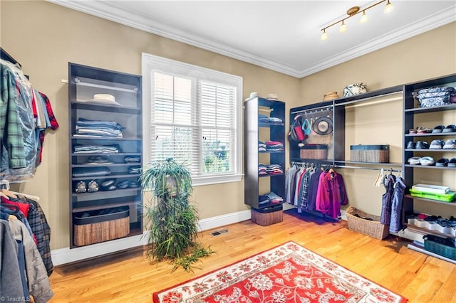 walk in closet with hardwood / wood-style flooring