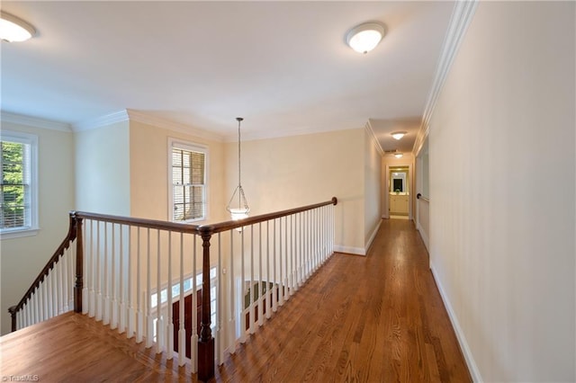 hallway with crown molding, baseboards, wood finished floors, and attic access