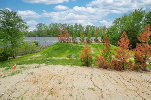 3799 Peony Way, Clemmons, NC 27012 - view of yard with fence