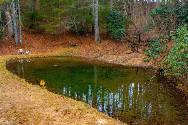 water view featuring a wooded view