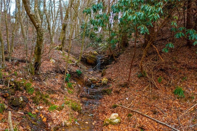 view of local wilderness featuring a forest view