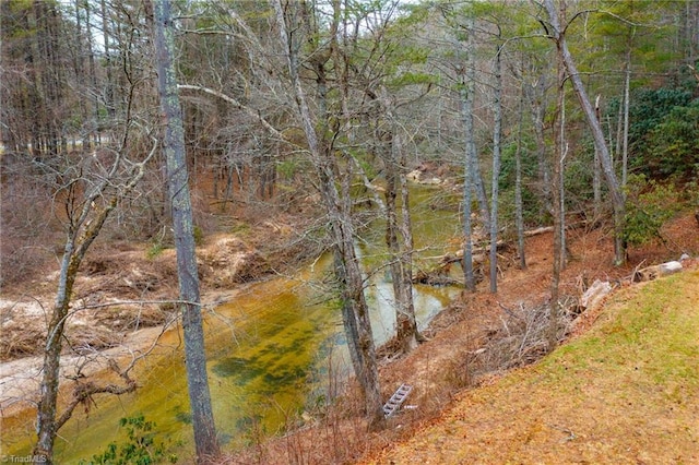 view of water feature with a forest view