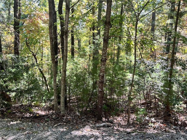 8 Laurel Rd, Purlear NC, 28665 land for sale